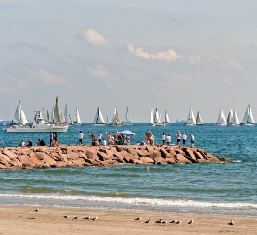 A regatta fills the gulf waters off Galveston Island, Texas