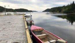 Avondale-newfoundland