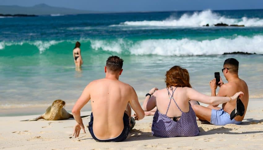 The wildlife of the Galapagos have no fear of humans, making close encounters a common occurrence.