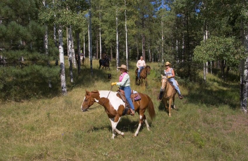 A trailride through the Sacramento mountains at one of the many ranches around Ruidoso.