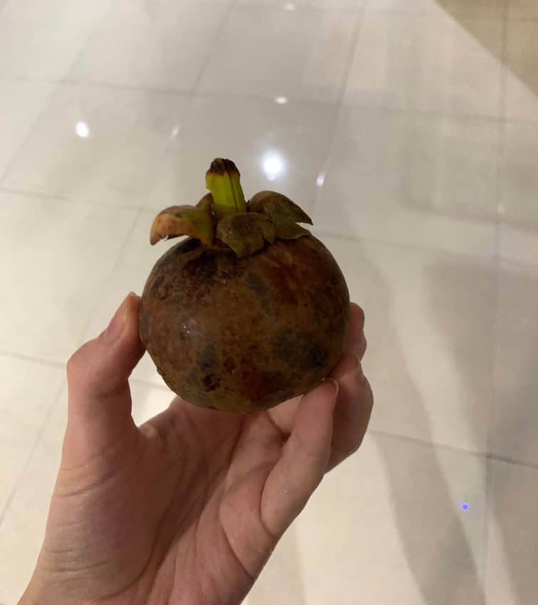 Be careful not to wash fresh fruit, like this delicious mangosteen, with the tap water