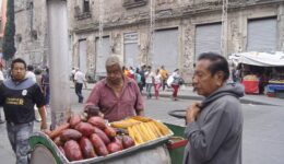 Camotes y Platanos