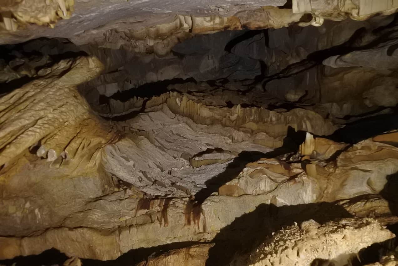 Stalactites stalagmites gours and elicit formations are some of the caves forms of life