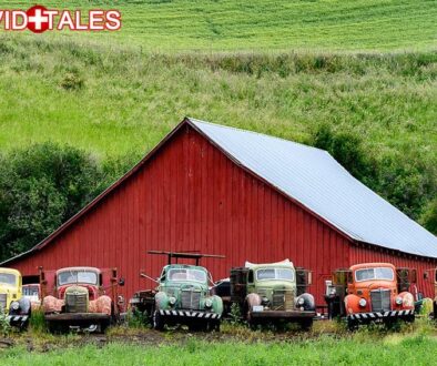 cv old trucks