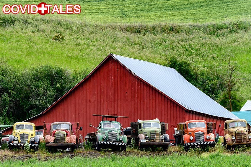 cv old trucks