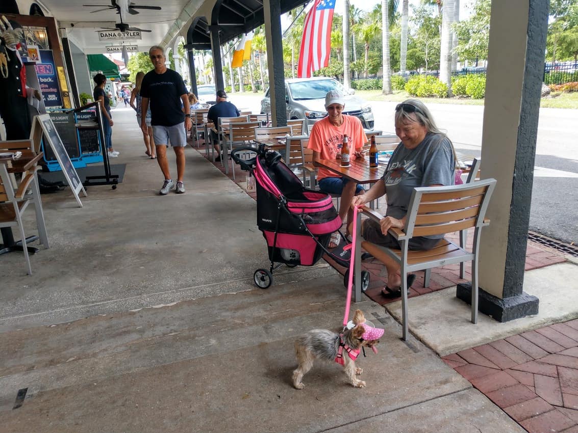 Dogs and people enjoy dining al fresco along the streets of Venice.