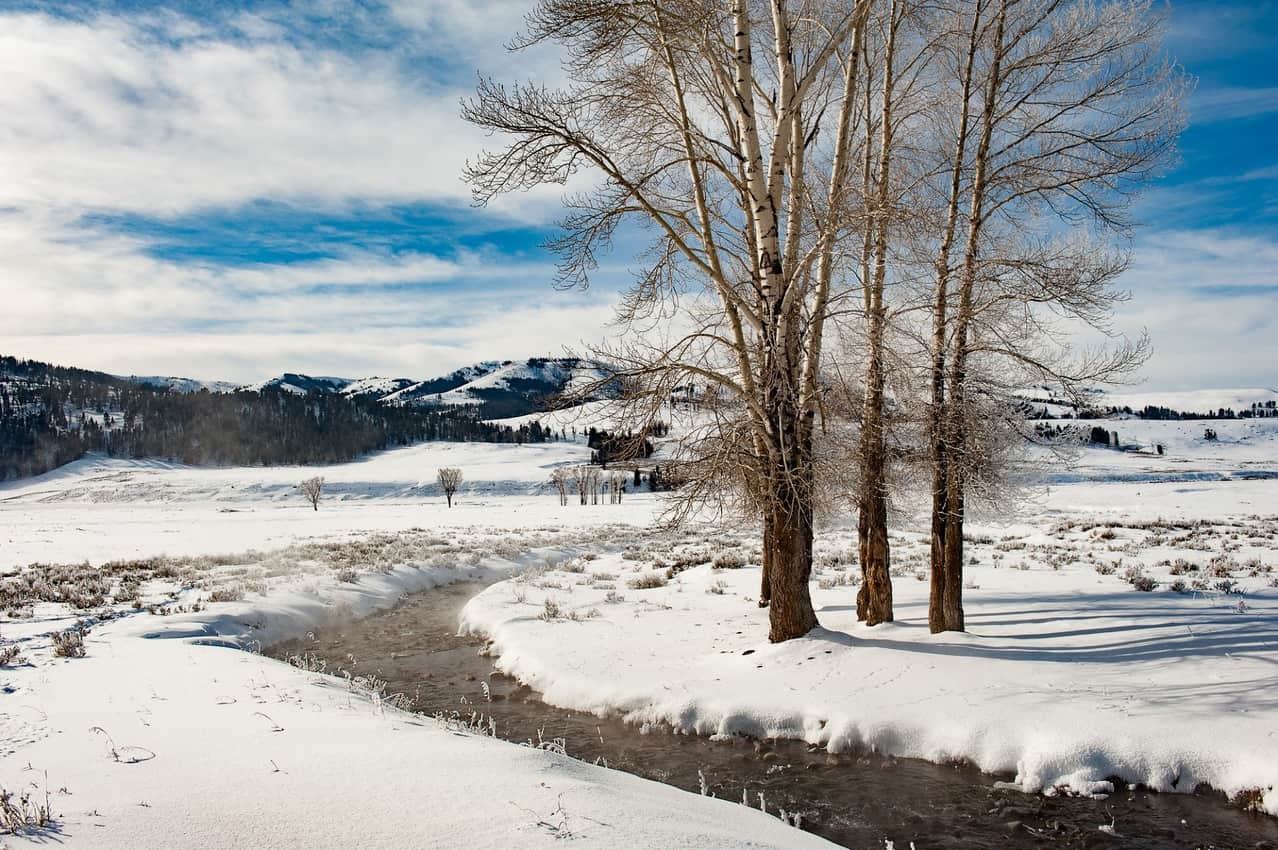 Visitors to Yellowstone are always hoping to see plenty of wildlife, especially in Lamar Valley shown here. But sometimes its just about the unforgettable landscapes in our first national park.