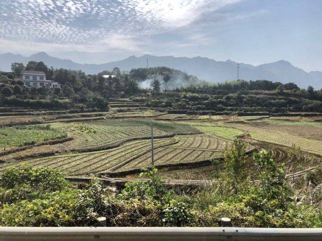 cultivated fields in Zhangjiejie 1 cultivated fields in Zhangjiejie 1