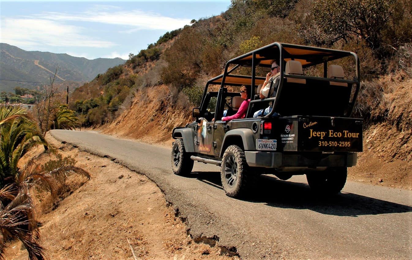 A Jeep tour around the winding roads on Catalina Island.