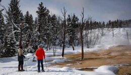 Snowshoe Trails