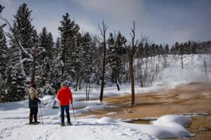 Snowshoe Trails