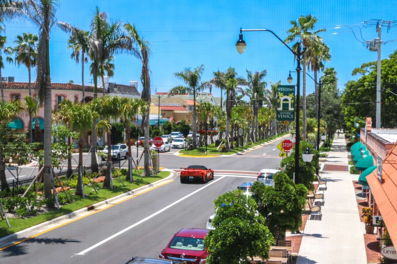 Majestic palms tower overhead the main drag in Venice. Photo from VisitSarasota.com