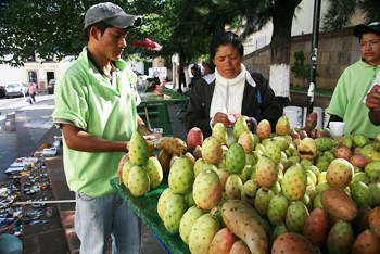 The high and dry environment surrounding the city hosts the perfect conditions for growing prickly pear fruit.