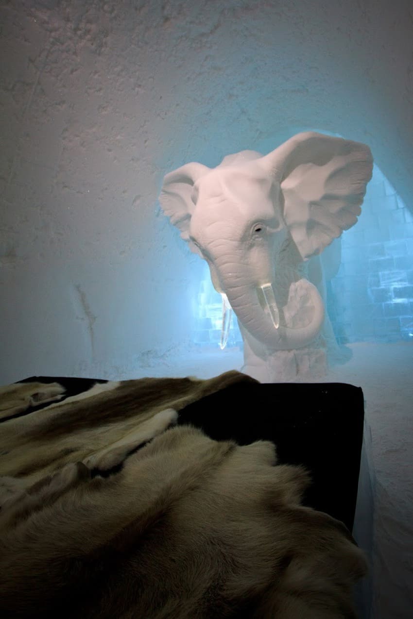 elephant ice sculpture