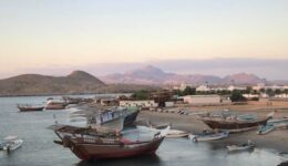 fishing and traditional dhow boats situated in the coastal town of Sur