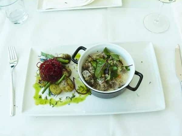 moose stew