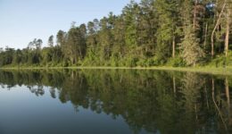 lake itasca