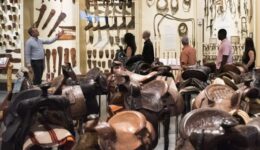 saddles at the Spirit of the west museum
