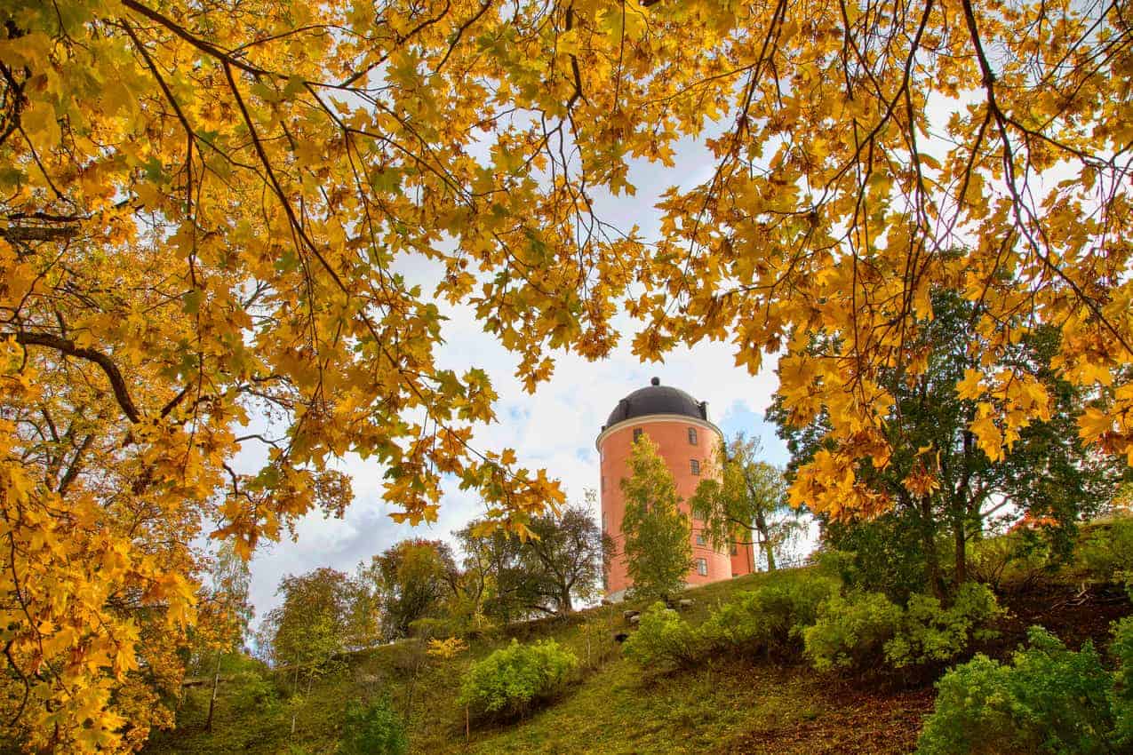 tornerparken