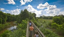 Ocmulgee Wetlands 2