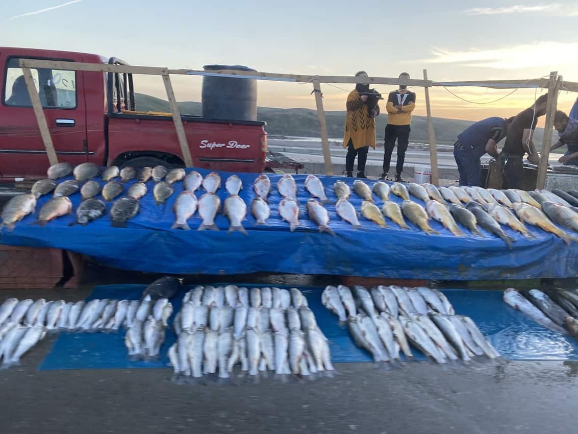 On the way to Alqosh, a bridge is busy with fishermen selling their latest haul.