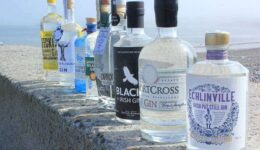 irish gins
