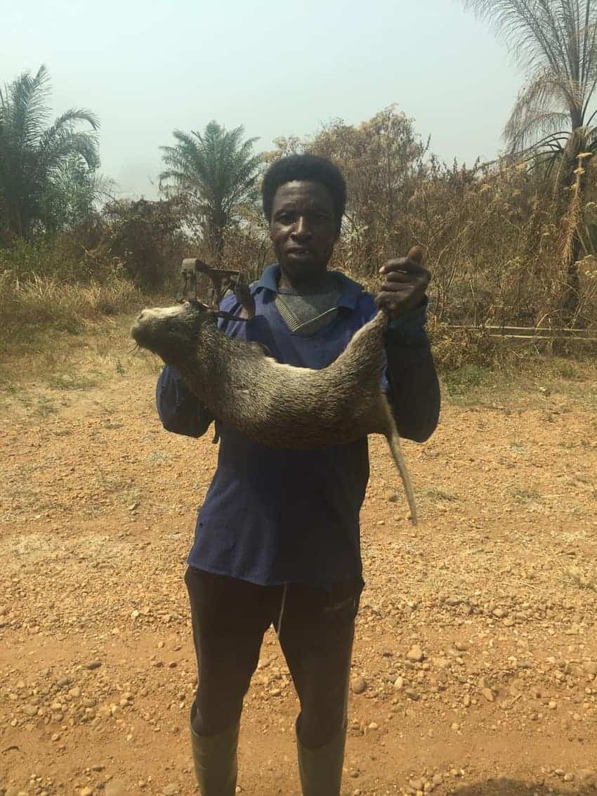 A local vendor selling his freshly-caught cane rat on the side of the road. 