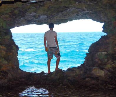 Animal Flowers Cave Barbados