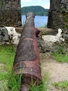 cannon