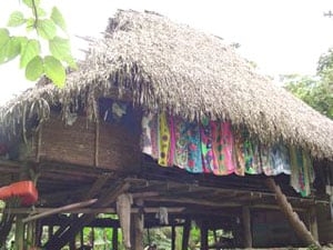 hut
