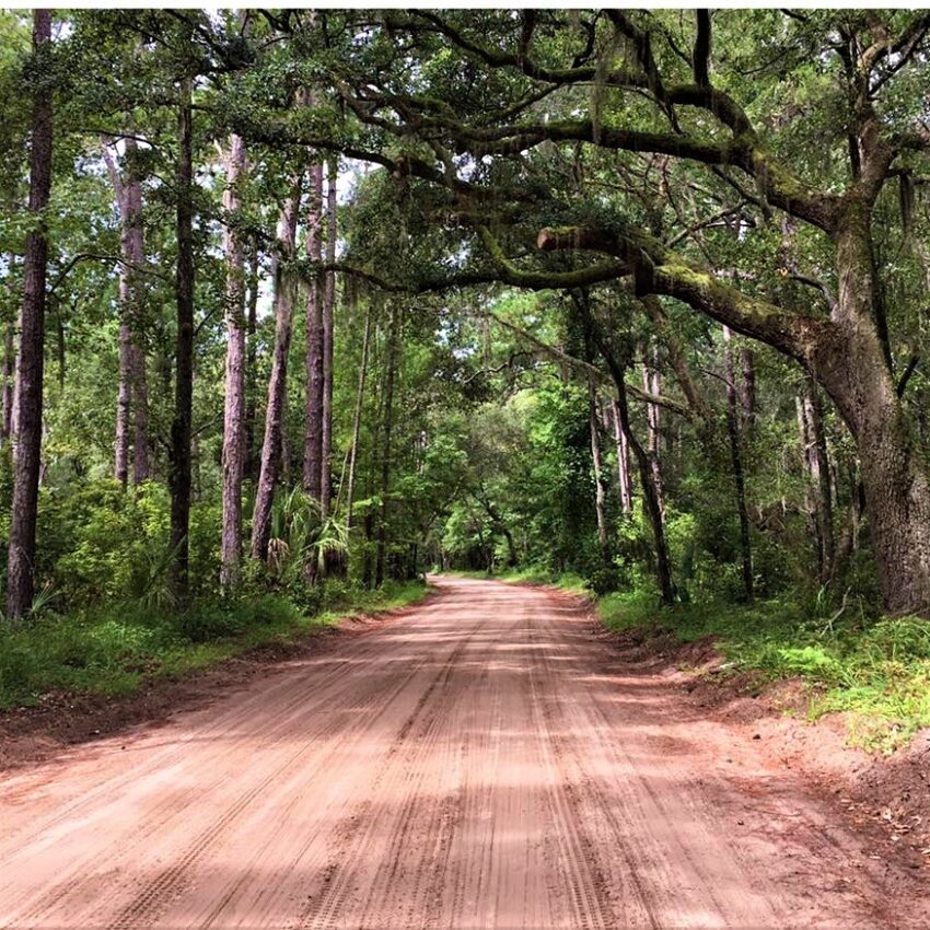 Dirt Roads of Daufuskie Island. Noreen Kompanik photos.