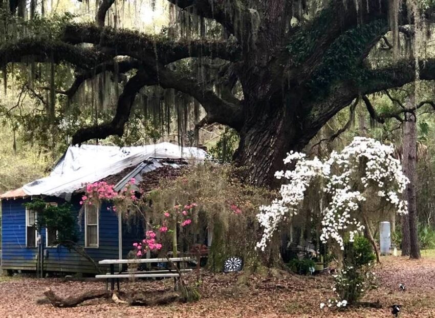 Historic Gullah House Painted Haint Blue