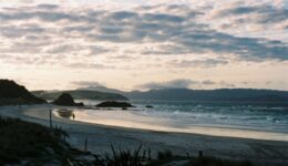 Tawharanui park beach