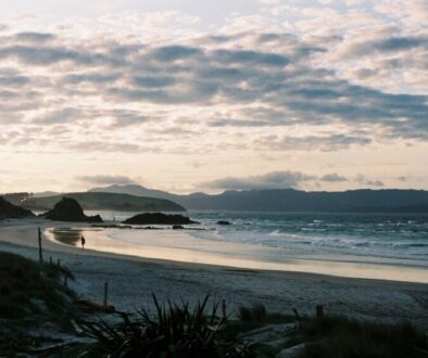 Tawharanui park beach