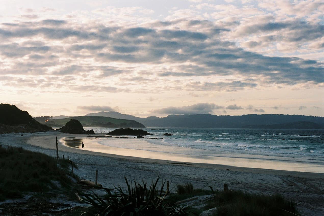 Tawharanui park beach