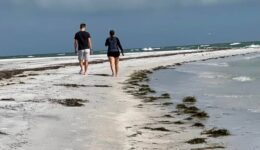 Anclote Key 1