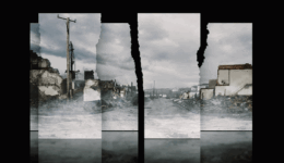 Greenwood Rising2