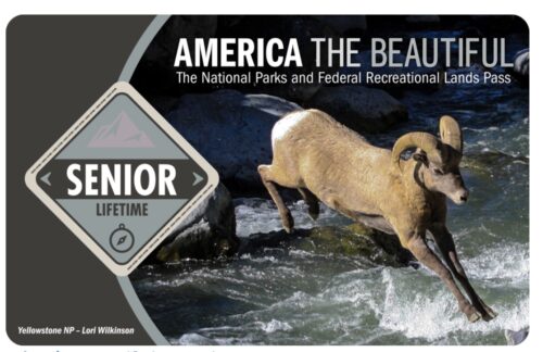 National Parks Service lifetime pass