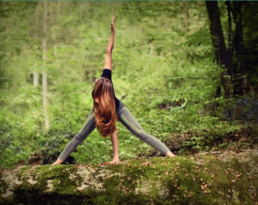 harmony joggers Get grounded with Harmony joggers
