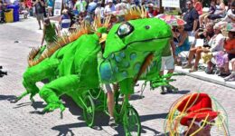 frog in the parade