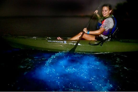 paddle in the water paddle in the water