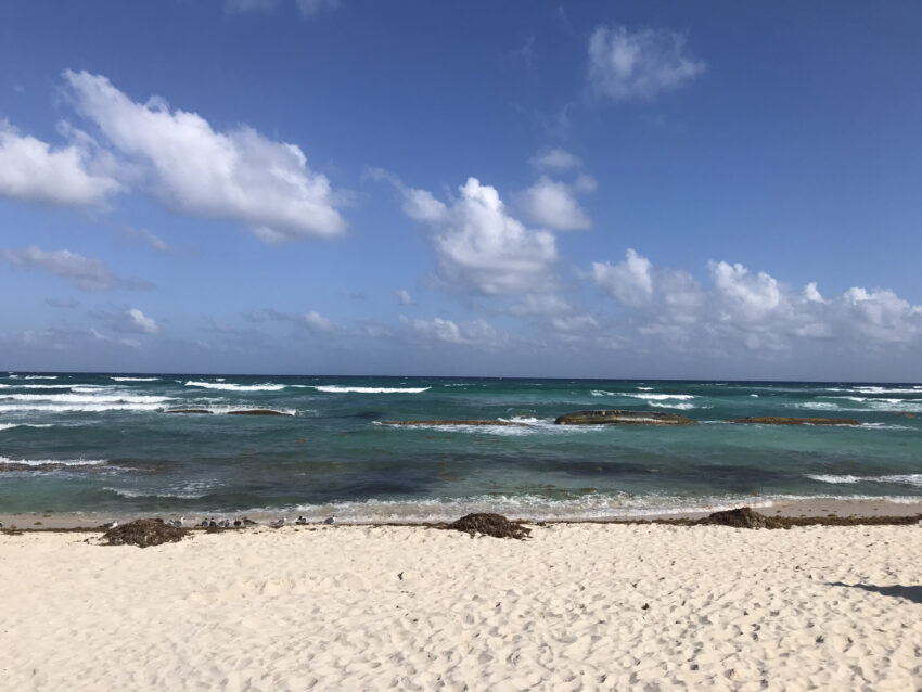 The beach in Tulum, Mexico.