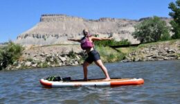 board yoga palisade