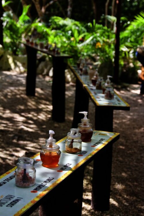 Left to right: propolis pearls, Apis honey, pollen and Melipona honey. You can see the colour difference in the honey.