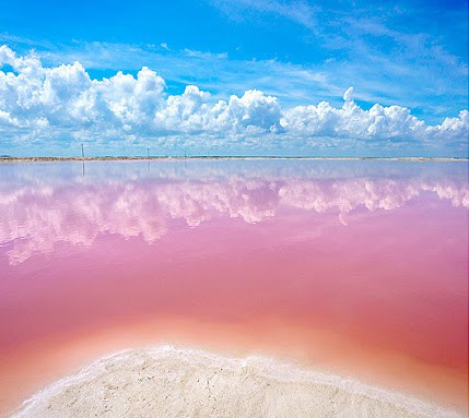 las coloradas 