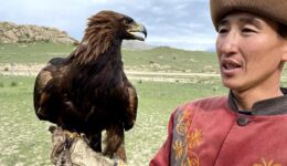eagle and trainer