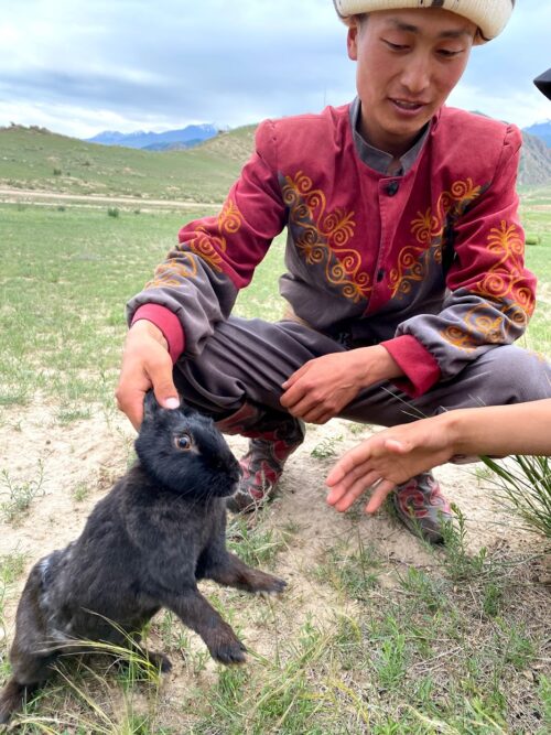 The third stage of the demonstration was a live hunt, with a rabbit raised by the trainers specifically for training sessions.