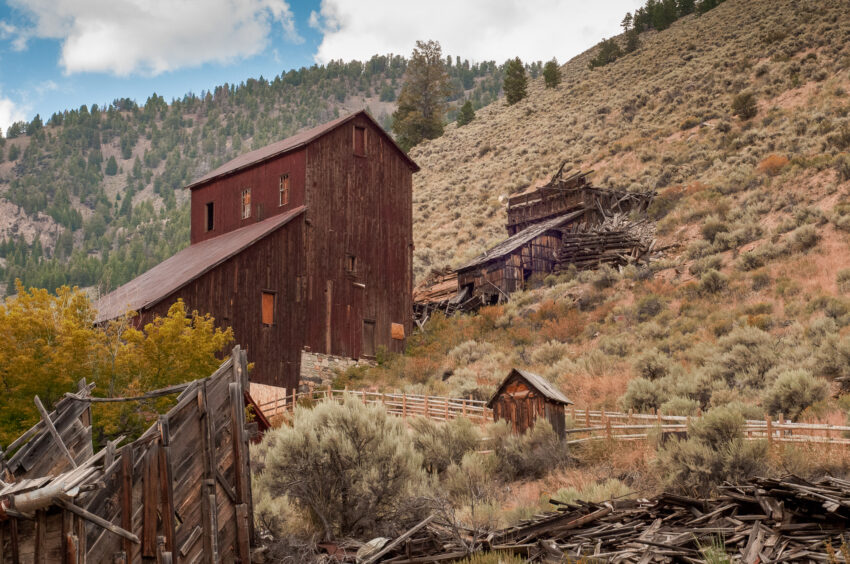 BayhorseStamper SaraSheehy