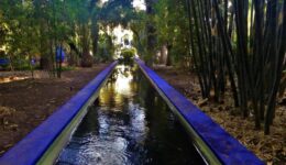 Jardin Majorelle
