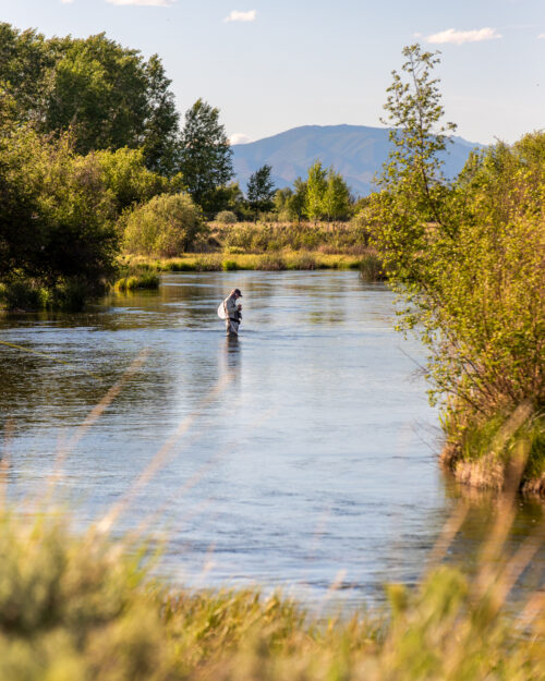 SilverCreek SaraSheehy SilverCreek SaraSheehy